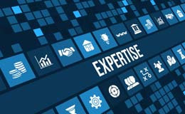 Consulting Services